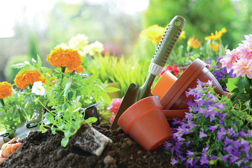 plants gardening composting