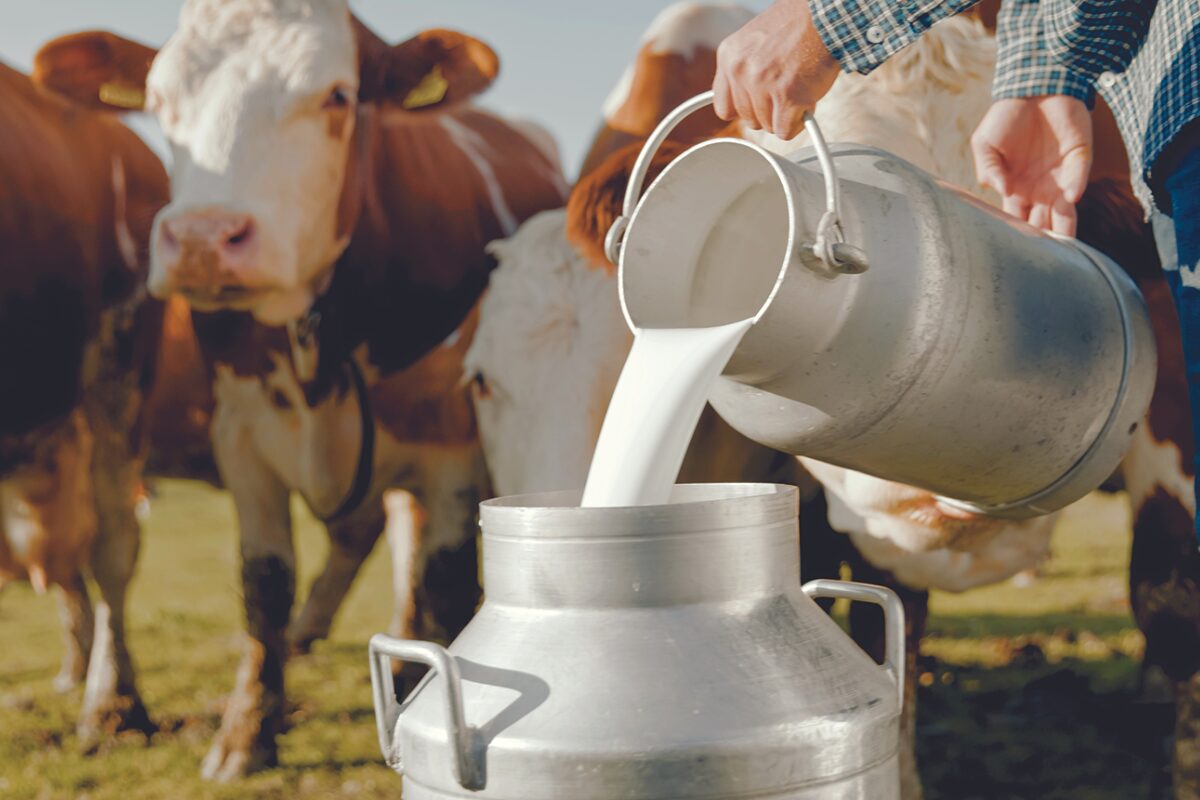 IDPH warns against raw milk consumption after 11 related illnesses reported