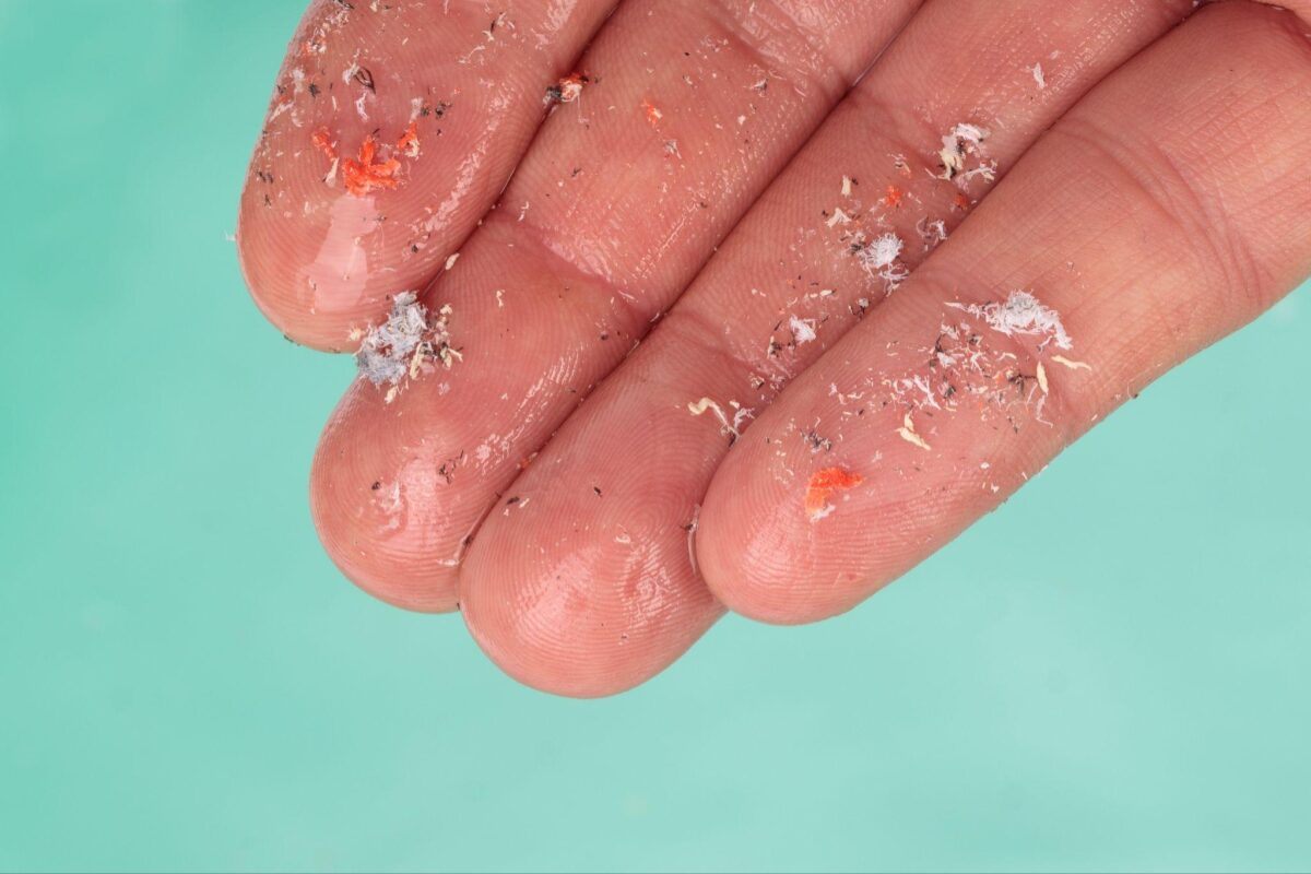 U of I study shows nanoplastics found to influence Salmonella virulence