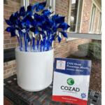 Blue metallic pinwheels arranged in a white pot for Child Abuse Prevention Month, placed on a patio beside a brick wall with a CASA/COZAD sign nearby.