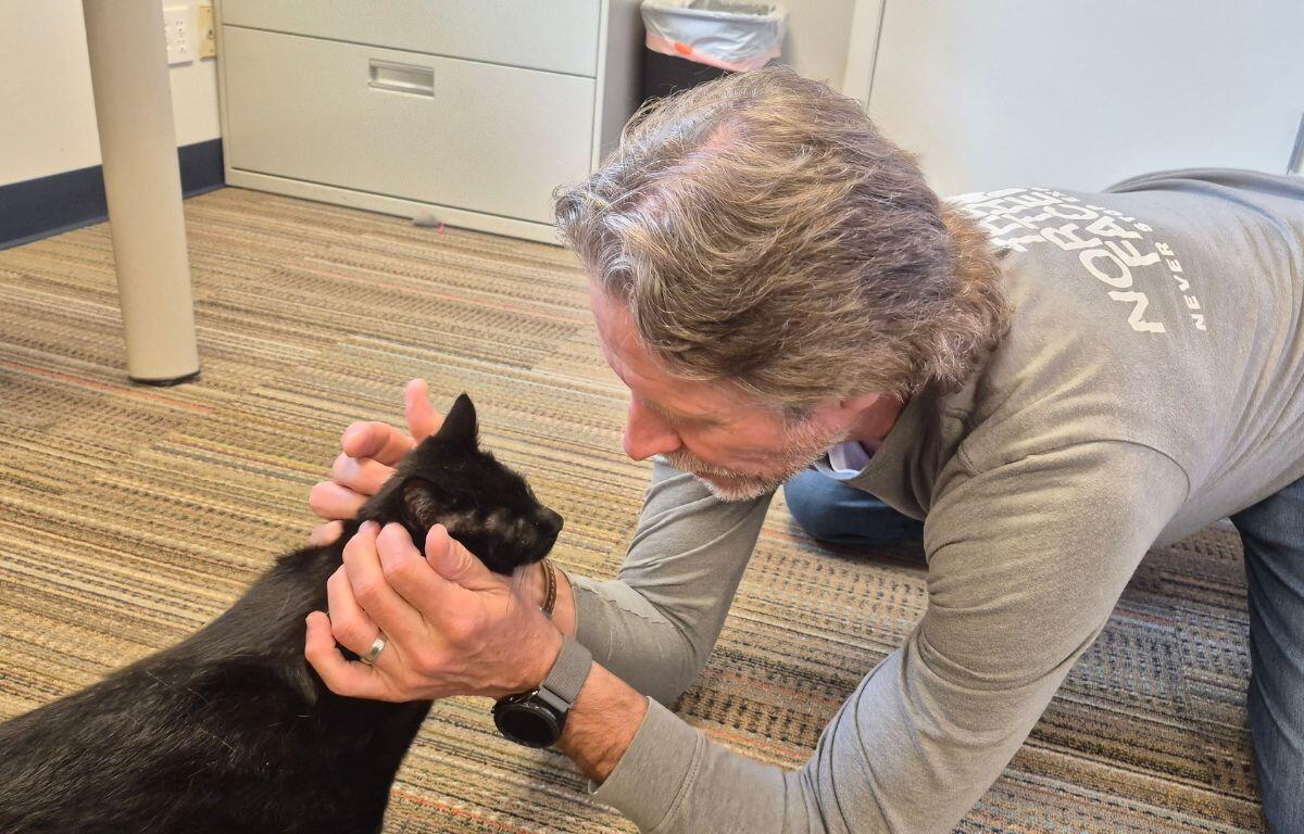 Man on the carpeted floor gently holding a black cat's head, looking at it with care (indoor setting).