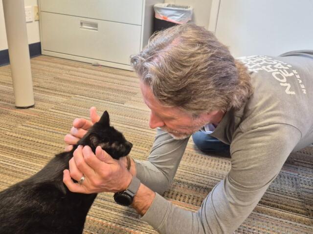 Man on the carpeted floor gently holding a black cat's head, looking at it with care (indoor setting).