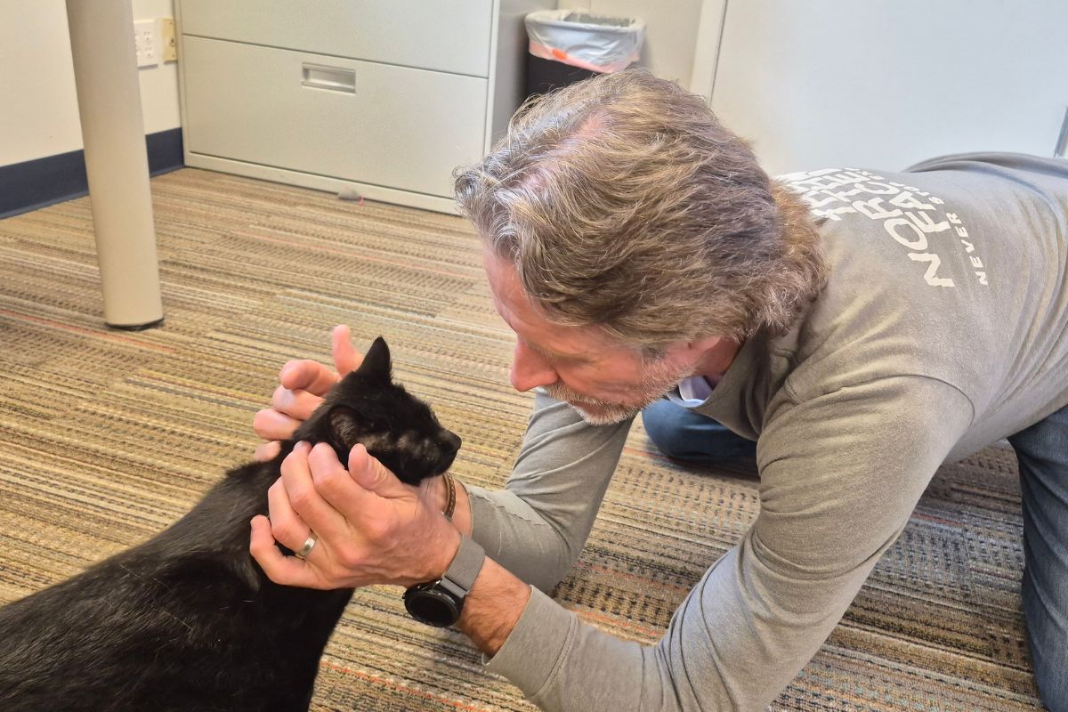 Man on the carpeted floor gently holding a black cat's head, looking at it with care (indoor setting).