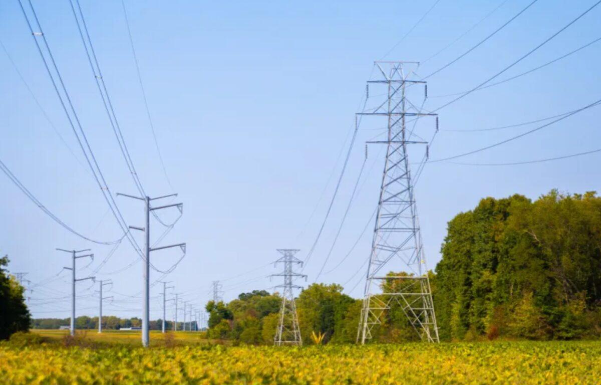 A row of tall metal electricity pylons and power lines crossing a rural field with yellow wildflowers and trees in the background, under a blue sky.