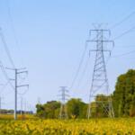 A row of tall metal electricity pylons and power lines crossing a rural field with yellow wildflowers and trees in the background, under a blue sky.