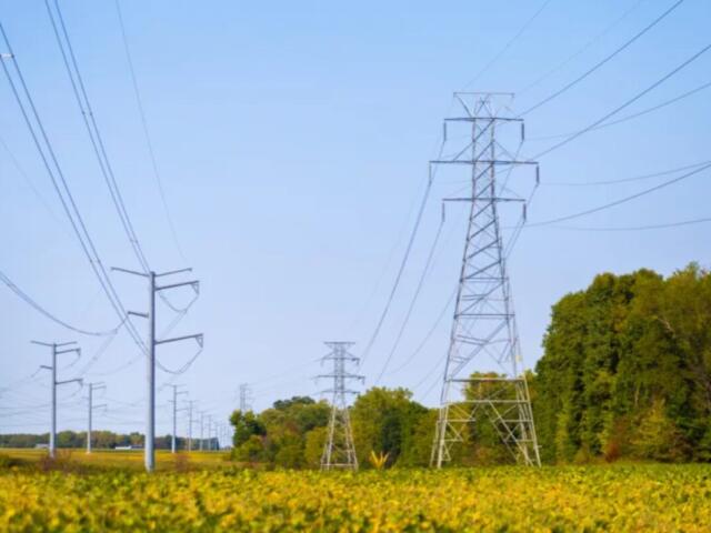 A row of tall metal electricity pylons and power lines crossing a rural field with yellow wildflowers and trees in the background, under a blue sky.