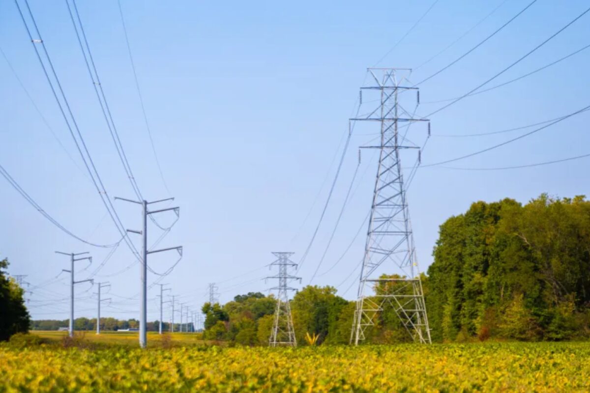 A row of tall metal electricity pylons and power lines crossing a rural field with yellow wildflowers and trees in the background, under a blue sky.