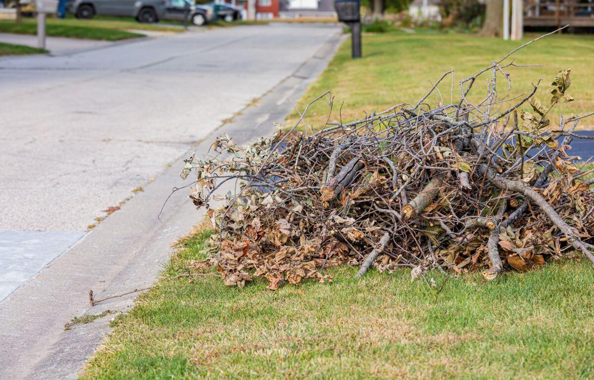 Pile of tree branches and dry leaves piled on a grassy curb in a suburban street, ready for yard debris collection.