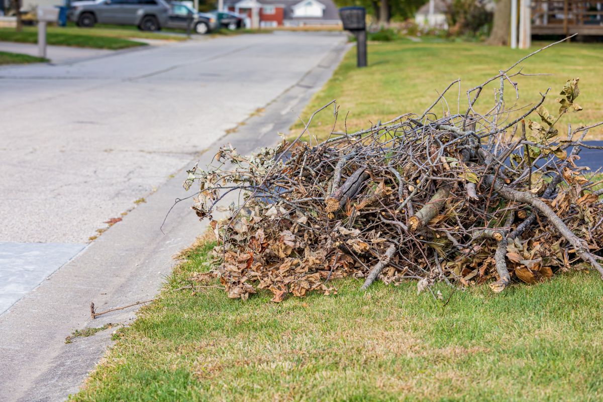 Pile of tree branches and dry leaves piled on a grassy curb in a suburban street, ready for yard debris collection.