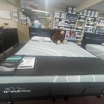 Showroom bed setup with a teddy bear, Tempur-Pedic Luxeadapt banners, and product literature nearby in a shop setting