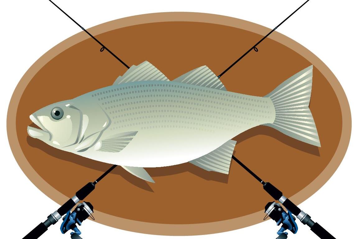 Big fish mounted on a brown oval background with two fishing rods crossed overhead in an X shape.