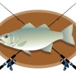Big fish mounted on a brown oval background with two fishing rods crossed overhead in an X shape.