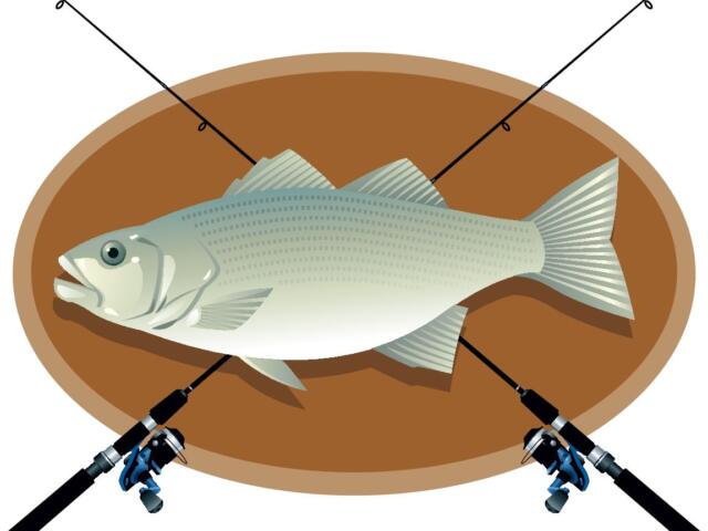 Big fish mounted on a brown oval background with two fishing rods crossed overhead in an X shape.
