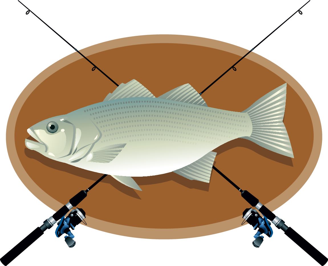 Big fish mounted on a brown oval background with two fishing rods crossed overhead in an X shape.