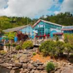 Ripley's Aquarium with blue and red building, glass facade, walkway, and rocky shoreline by water amid trees.
