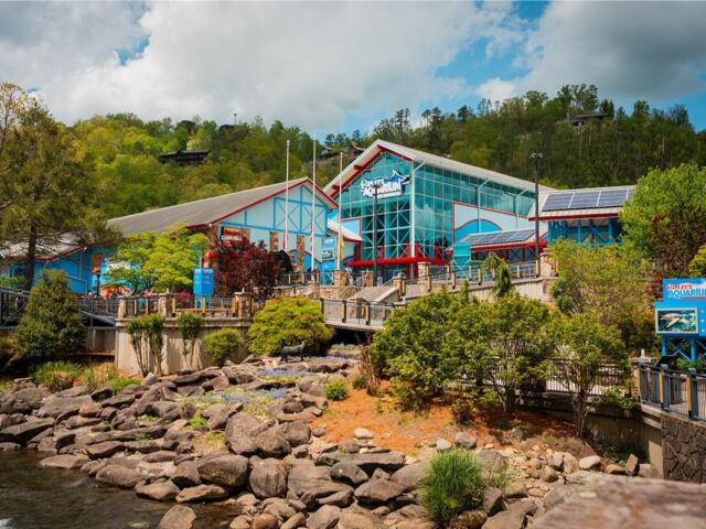Ripley's Aquarium with blue and red building, glass facade, walkway, and rocky shoreline by water amid trees.