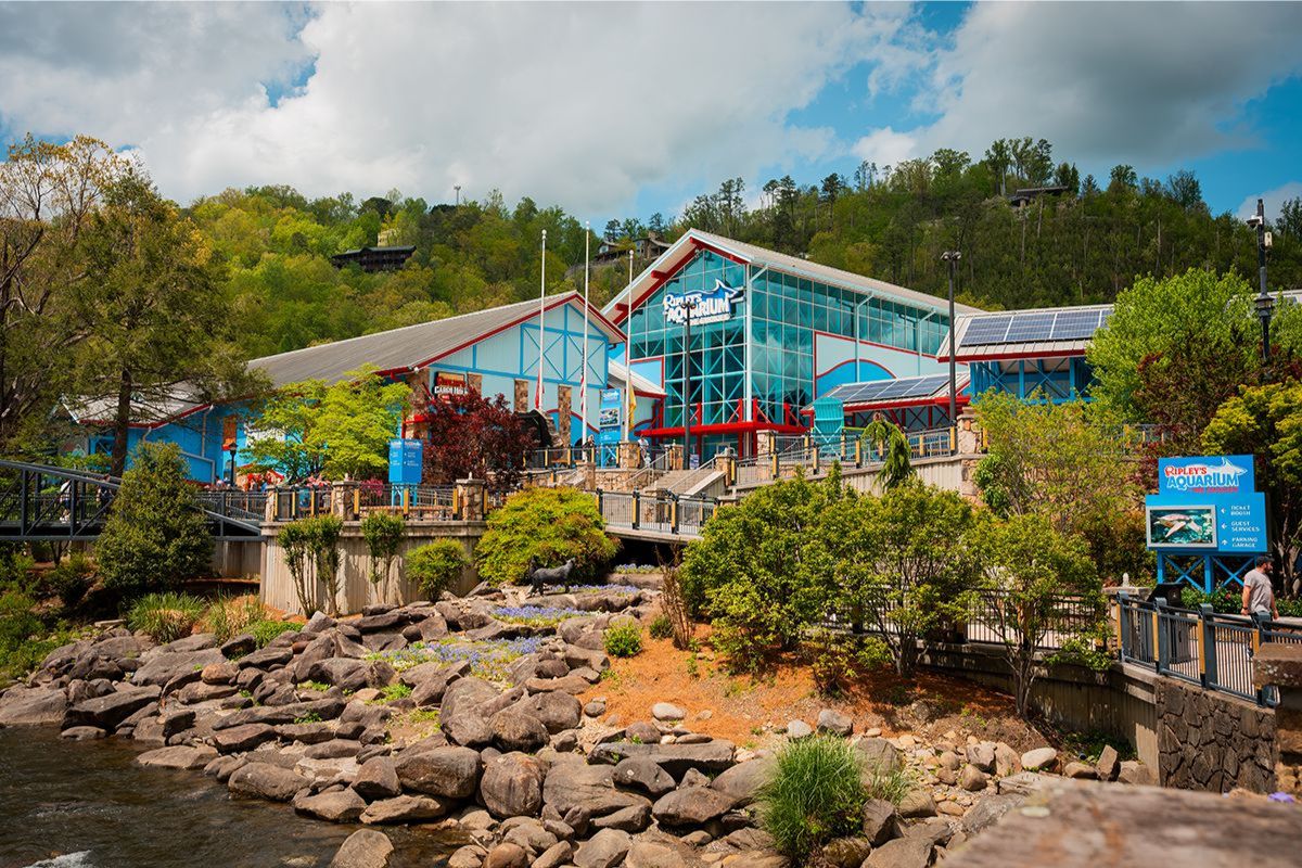 Ripley's Aquarium with blue and red building, glass facade, walkway, and rocky shoreline by water amid trees.
