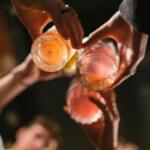 People raise pink cocktails in a toast, seen from above during a celebration.