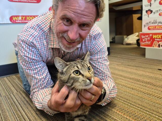 Man in a plaid shirt smiles while holding a tabby cat on a striped office carpet with WIXY banners in the background, likely a radio station setting.