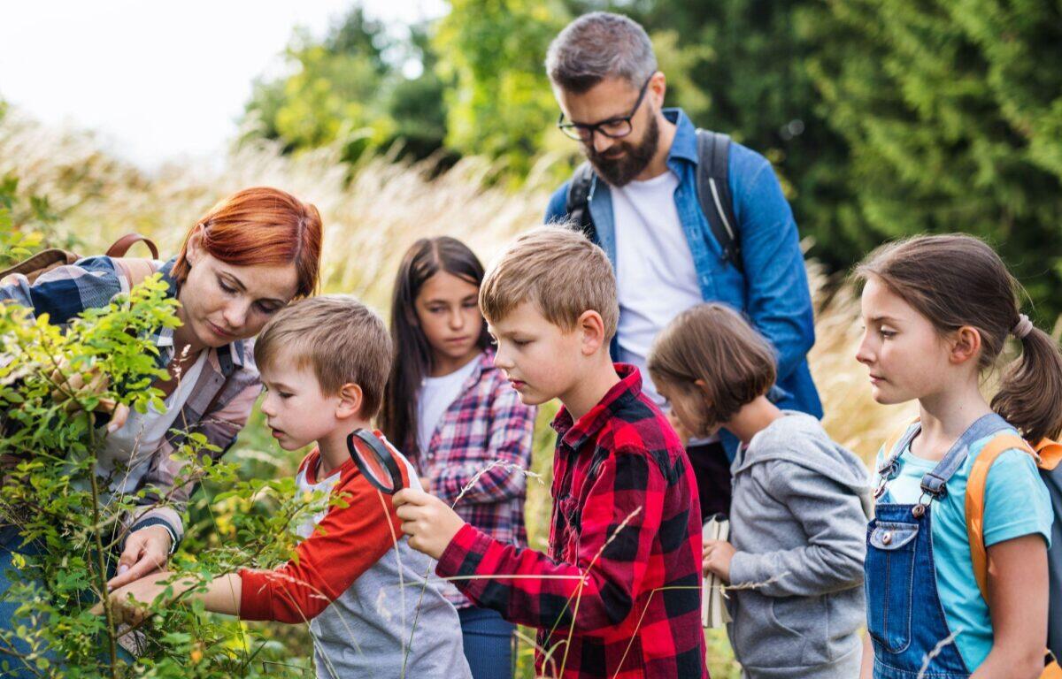 Group of children with a bearded man looking at plants outdoors as one child uses a magnifying glass to inspect leaves.